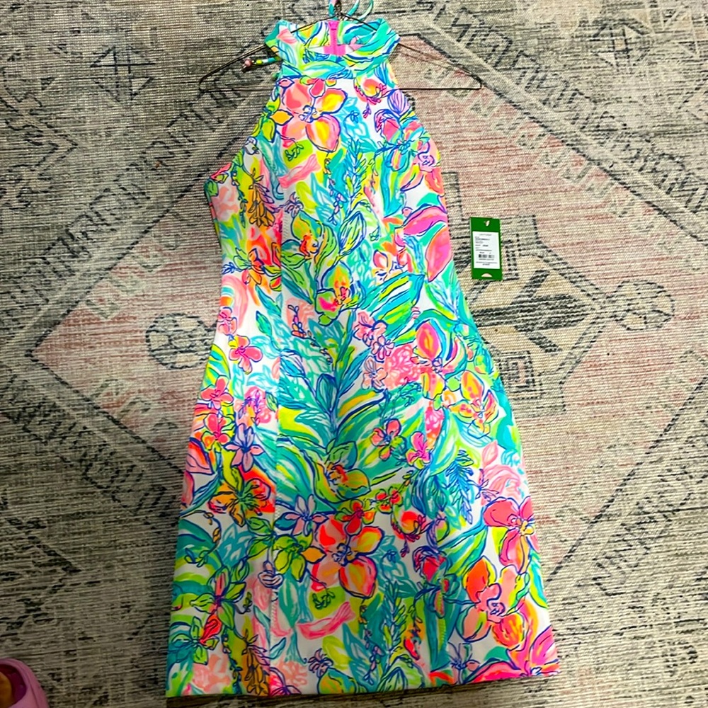Size 4 nwt Lilly dress